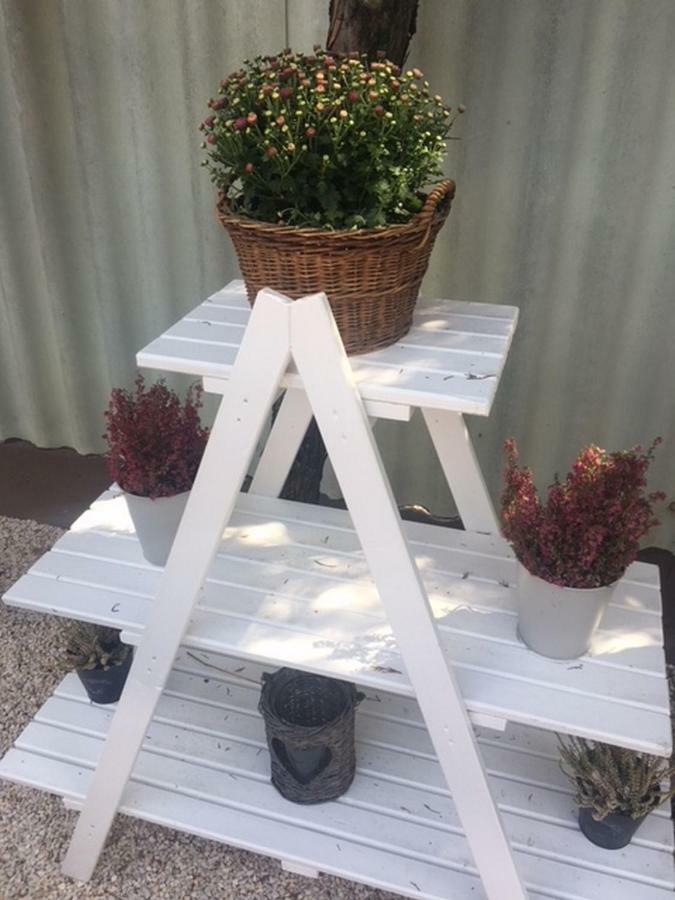Nefelejcs Vendégház Toalmas Exterior foto